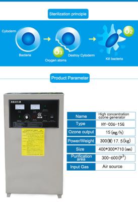 China HY-006 15g 25g 30g best smart corona air freshener ozone generator/air ozonator /air ozonizer for sale