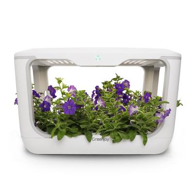 China Minimalist Hot Sale LED Growing Systems Indoor Smart Hydroponic Plant Grow Box for sale