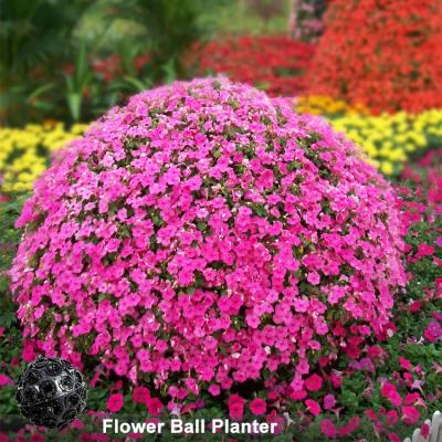 China Eco-Freindly Flower Park Round Ball Planter Custom Size iron+PP Material Flower Ball Planter for sale