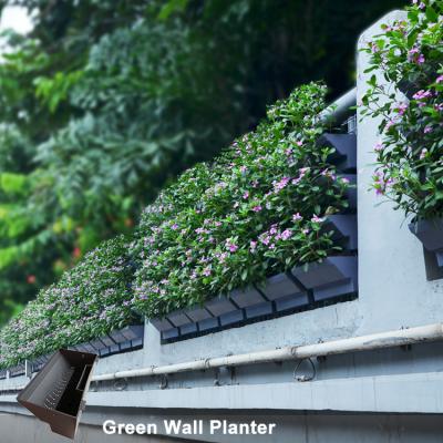 China Eco-Freindly Green Wall System Wall Planter Vertical Garden Hanging Planter for sale