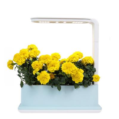 China Eco-Freindly Intelligent Control Smart Growth Box Cultivation No ABS Heavy Metal Material Residue Smart Growth Desktop Box for sale