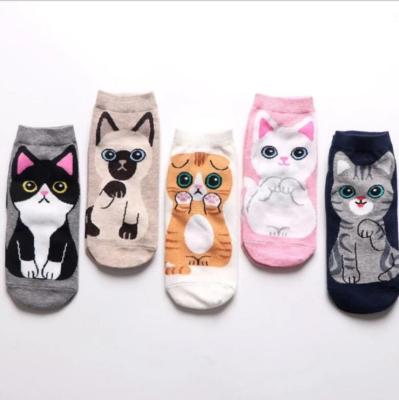 China Women's Cotton Cartoon Cat Short Socks Fashion Funny Kawaii Print Socks QUICK DRY 5 Pair Summer Cute Animal Female Girl Sock for sale