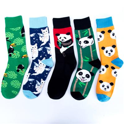 China Cat Panda Animal Premium Men Women Crew Crazy Cool Male Pop Socks Cotton Funny Socks QUICK DRY Can Custom Logo for sale