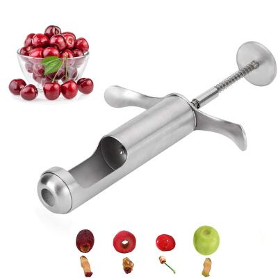 China Stored Red Jujube Cherry Corer Remover Seed Tool Date Fruit Hollow Puncher Portable Stainless Steel Pitter Tool for sale