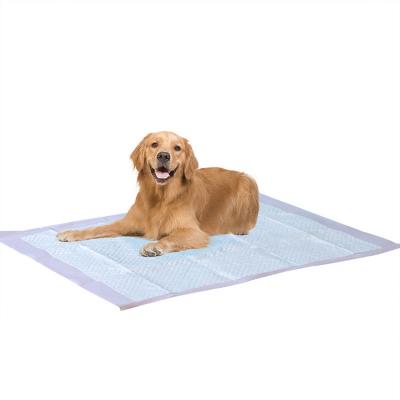 China Stored Disposable Pet Protective Dog Diaper Deodorant Cleaning Products Cat Pet Training Pad for sale