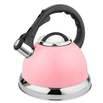 China HausRoland Hot Sale 3.0L Color Coating Stainless Steel Whistling Kettle Stocked Teapot for Gas Electric Induction for sale