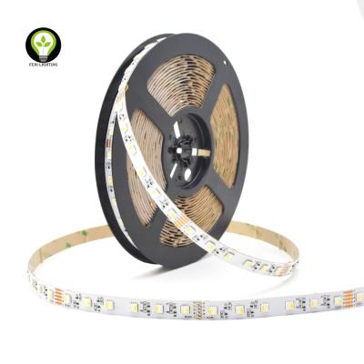 China Double Copper PCB SMD 5050 4 in1 RGBW Epistar LED Chip LED Strip DC12V 24V for sale