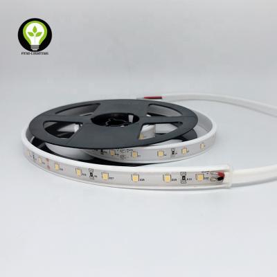 China LANDSCAPE TPU+PU Coating 2835 Series TPU Led Strip Light IP68 Waterproof/Outdoor, Swimming Pool, Under Water Flexible Led Strip Light for sale