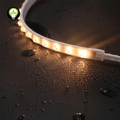 China Mini TPU IP67 SMD5050 Hotel Wall Seal Flexible Strip Light With Lens CRI 90 Cabinet Light Ceiling Lamp for sale