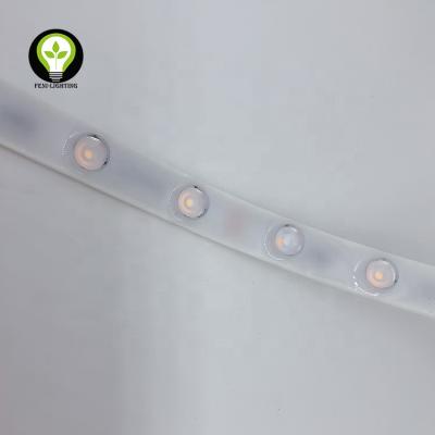 China Flexible Hotel Wall Seal Strip Light IP67 TPU LED Strip Light with Lens Outdoor Swimming Pool LED Strip Light for sale