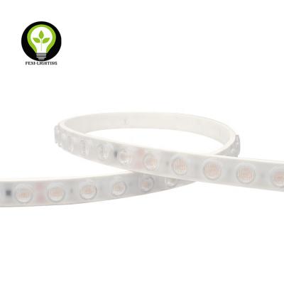 China Hotel Wall Seal Strip Light IP67 TPU LED Flexible Strip Light With Lens Swimming Pool Outdoor Strip for sale