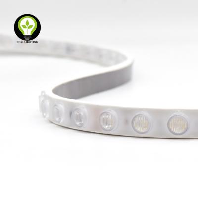 China Flexible Hotel TPU LED Strip Light Wall Seal Outdoor IP67 Waterproof for sale