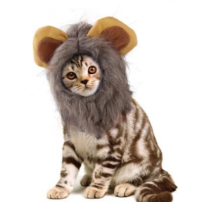 China Viable Cosplay Apparel Cat Wig Pet Headdress Accessories Colorful Cat Dog Wig Costume Wig Set Festival Decoration Halloween Pet for sale