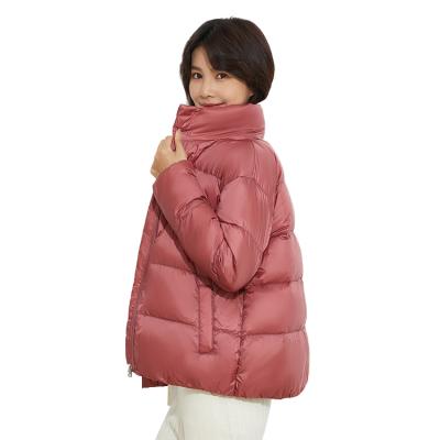 China Waterproof Down Stripper Jacket, Downe Jacket, Winter Down Jacket for sale