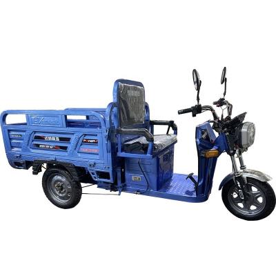 China Cargo electric trike e trike 0.2ton 200 kg 500 kg electric dumper heavy loading tricycle 3 wheel trike for sale for sale