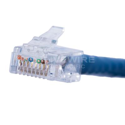 China Nwork Cable Cat5E Cat6 Network UTP Shielded Gold Plated Contact Ethernet RJ45 Connector for sale