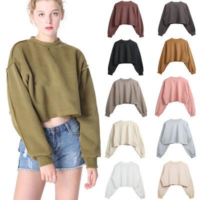 China Breathable Multicolor Loose Plus Size Fleece Hoodie Pullover Blouse Short Cropped Outer Seam Women for sale