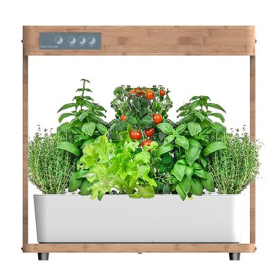 China IGS-05 Indoor Greenhouse Home Smart Garden Grow Indoor Hydroponic Growing Systems With Bamboo Layer 389X215X395mm for sale