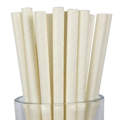 China Straw Biodegradable White Paper Biodegradables High Quality Wholesale Disposable RTS 10000PCS Best Price Paper Pots for sale