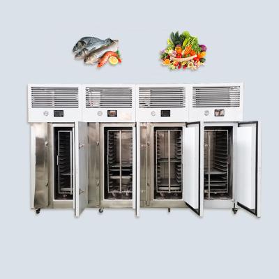 China Food Freezer Machine Chicken Fish Fridge Commercial Frozen Fish Machine Industrial Quick Frozen Blow Freezer Large for sale