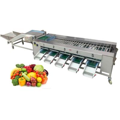 China Easy Operation Automatic Passion Fruit Garlic Potato Onion Fruit Grading &Vegetable Grading Machine for sale