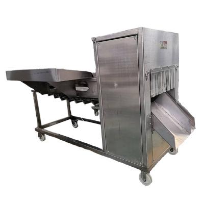 China Commercial Fish Processing Plant AICN Stainless Steel Automatic Fish Decapitation Fish Processing Type Head Cutting Machine for sale