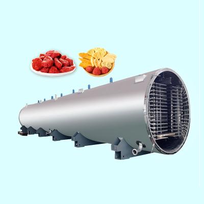 China High Efficiency Low Cost Freeze Drying Equipment China Freeze Drying Machine Industrial Fruit Food Vacuum Freeze Dryer for sale