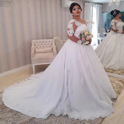 China ON475 Breathable Plus Size Lace Appliques Wedding Dresses Long Sleeves Lace Up Back Wedding Dresses Bride Dresses for sale