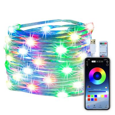 China Smart Control Kleurrijke RGBIC Fairy Lights 5m 10m 20m String Light Indoor Te koop