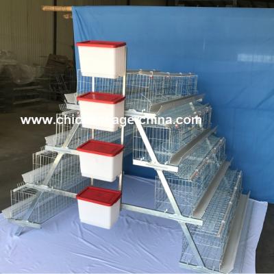 China Easily instasll Layer Chicken Cage For Pakistan Poultry Farm / Chicken Breeding Cage for sale