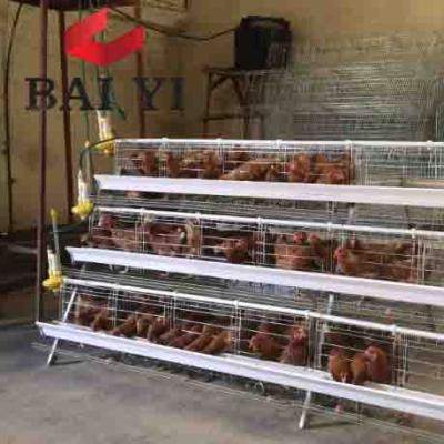 China Easily Install Modern Design Chicken Farm Breeding Layer Chicken Cage for sale