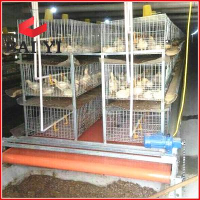 China Easily Install Broiler Cage System, Broiler Houses, Automatic Broiler Cages for sale