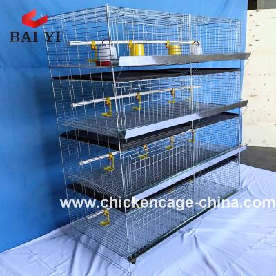 China Easily clean battery cage for baby chickes brooder cages for sale for sale