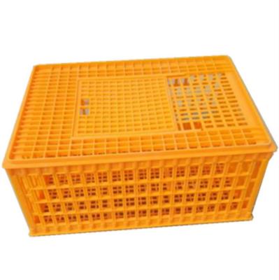 China Live Layer Chicken Transport Anti Aging Plastic Cages For Sale for sale