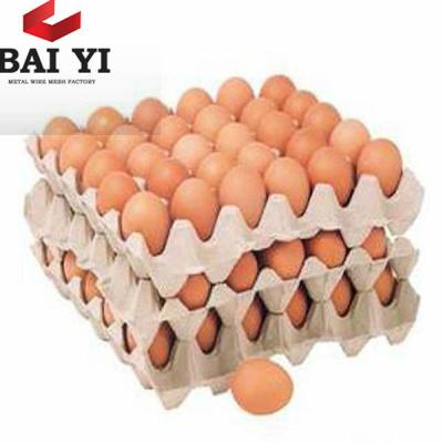 China Whosale 30 Recyclable Egg Paper Pulp Egg Carton Tray for sale