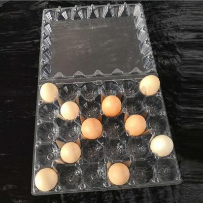 China Eco Friendly Hot Sale Cheap Clear Plastic Egg Tray For 2,6,8,10,12,15,18,20,24,30,40 Eggs for sale