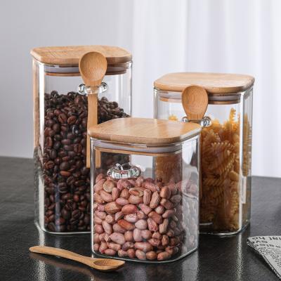 China High Sustainable Borosilicate Kitchen Storage Airtight Clear Glass Jars Set With Spoon Spice Jar for sale