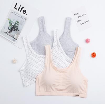 China Antibacterial Sports Sleep Bra Vest Style Tube Underwear Wap Top Seamless Bra for sale