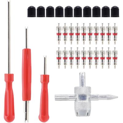 China Tire Valve Core Remove Valve Core Custom Tool Kit with Valve Core from Tire Valve Covers for sale