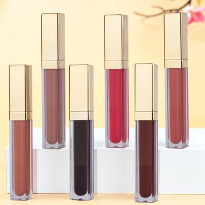 China 12 color waterproof lipstick for lip makeup for sale