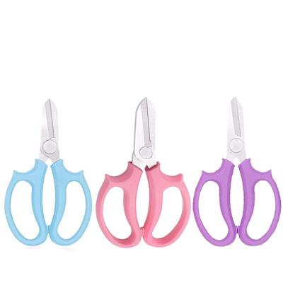 China Universal Cutting Stainless Steel Flower Branch Scissors Easy To Use Cor Family for sale