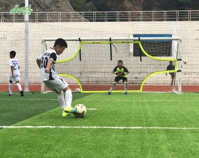 China Football Training GOALSHOT 24' X 8' FOR FOOTBALL TRAINING for sale