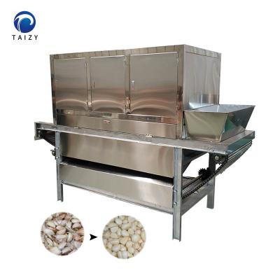 China High Efficiency Competitive Garlic Peeling Garlic Clove Separator And Peeler Machine for sale