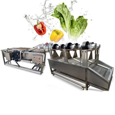 China Fruit Processing Plant Blueberry Cleaner Waxing Garlic Bean Sprout Washer And Drying Machine Matching Vegetable Tomato Fruit Washing Line for sale