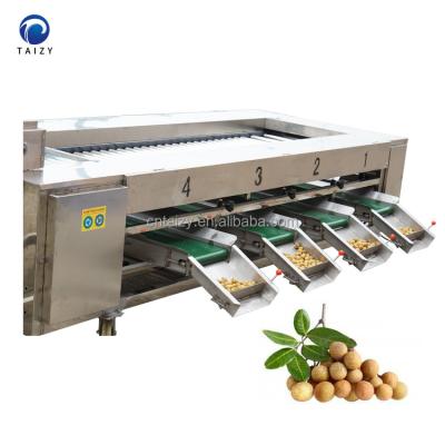 China Fruit Sorting Range Apple Garlic Potato Sorter Fruit Longan Size Grading Machine for sale