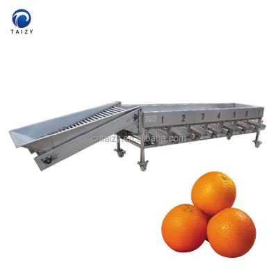 China Fruit Processing Plant Lemon Waxing Sorter Avocado Grading Machine For Fruit Processing Line for sale