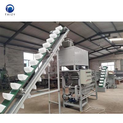 China Easy Operation Australia Hazel Walnut Processing Machine Easy High Efficiency Cracking Machine for sale