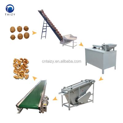 China Easy Operation Australia Hazel Walnut Processing Machine Easy High Efficiency Cracking Machine for sale