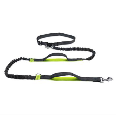 China Cheap Wholesale Portable Running Pet Custom Retractable Belt DETACHED Leash for sale