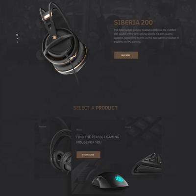 China Gamer website design web for sale